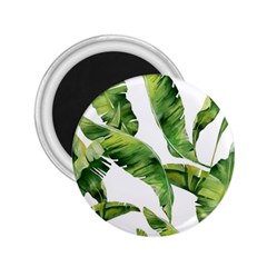 Sheets Tropical Plant Palm Summer Exotic 2 25  Magnets by artworkshop