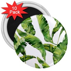 Sheets Tropical Plant Palm Summer Exotic 3  Magnets (10 Pack)  by artworkshop