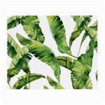 Sheets Tropical Plant Palm Summer Exotic Small Glasses Cloth Front