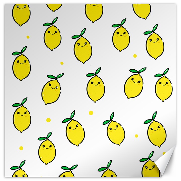 Pattern Lemon Texture Canvas 20  x 20 