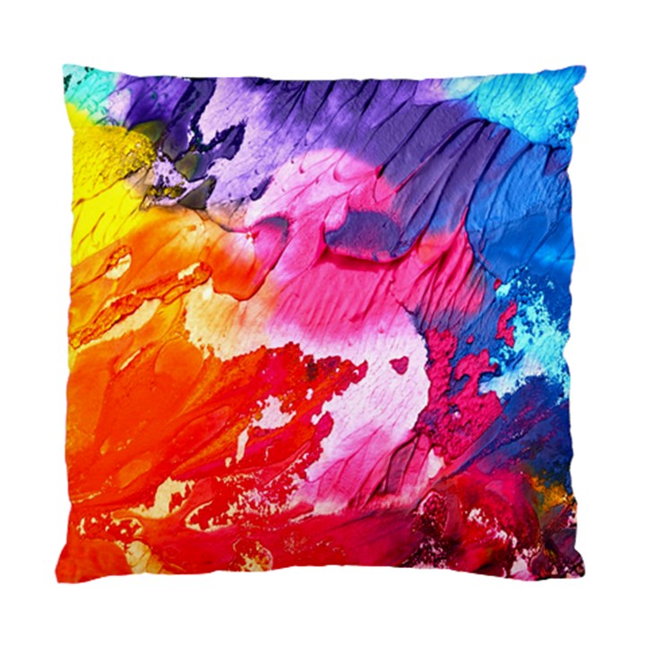 Colorful Painting Standard Cushion Case (Two Sides)