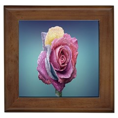 Rose Flower Love Romance Beautiful Framed Tile by artworkshop