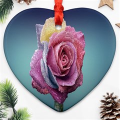 Rose Flower Love Romance Beautiful Ornament (heart) by artworkshop