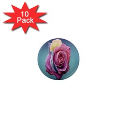 Rose Flower Love Romance Beautiful 1  Mini Magnet (10 Pack)  by artworkshop