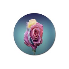 Rose Flower Love Romance Beautiful Magnet 3  (round) by artworkshop