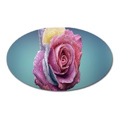 Rose Flower Love Romance Beautiful Oval Magnet by artworkshop