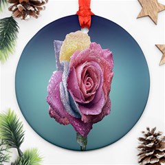 Rose Flower Love Romance Beautiful Ornament (round) by artworkshop