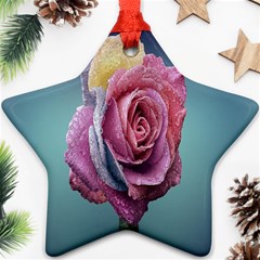 Rose Flower Love Romance Beautiful Ornament (star) by artworkshop