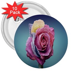 Rose Flower Love Romance Beautiful 3  Buttons (10 Pack)  by artworkshop