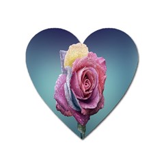 Rose Flower Love Romance Beautiful Heart Magnet by artworkshop