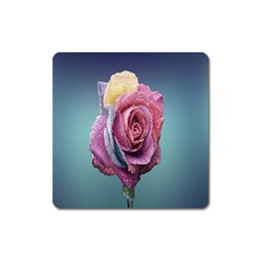 Rose Flower Love Romance Beautiful Square Magnet by artworkshop