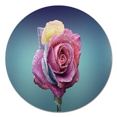 Rose Flower Love Romance Beautiful Magnet 5  (round) by artworkshop