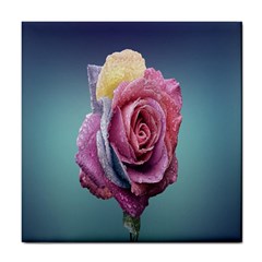 Rose Flower Love Romance Beautiful Tile Coaster by artworkshop