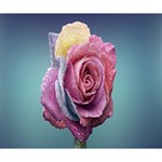 Rose Flower Love Romance Beautiful Deluxe Canvas 14  x 11  (Stretched) 14  x 11  x 1.5  Stretched Canvas