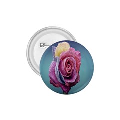 Rose Flower Love Romance Beautiful 1 75  Buttons by artworkshop