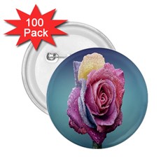 Rose Flower Love Romance Beautiful 2 25  Buttons (100 Pack)  by artworkshop