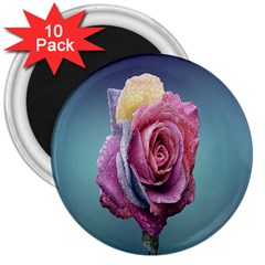 Rose Flower Love Romance Beautiful 3  Magnets (10 Pack)  by artworkshop