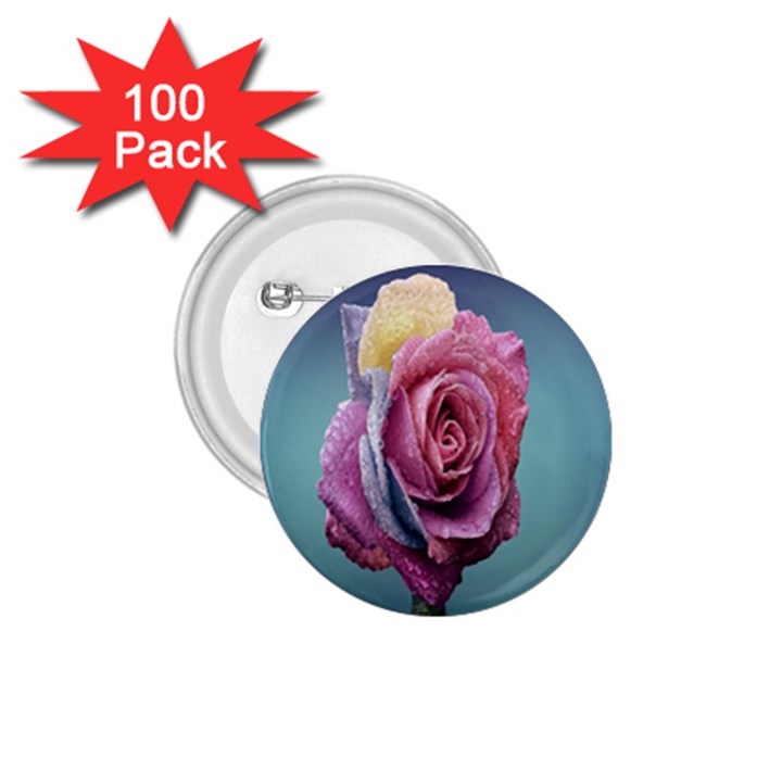 Rose Flower Love Romance Beautiful 1.75  Buttons (100 pack) 