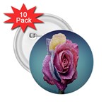 Rose Flower Love Romance Beautiful 2.25  Buttons (10 pack)  Front