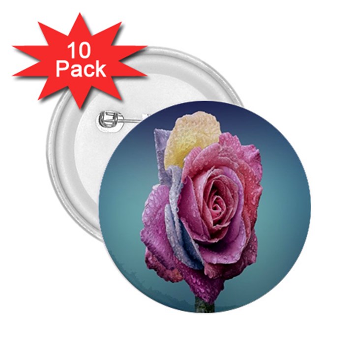 Rose Flower Love Romance Beautiful 2.25  Buttons (10 pack) 