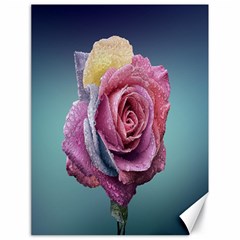 Rose Flower Love Romance Beautiful Canvas 18  X 24  by artworkshop