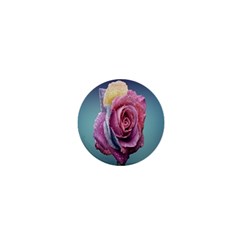 Rose Flower Love Romance Beautiful 1  Mini Magnets by artworkshop