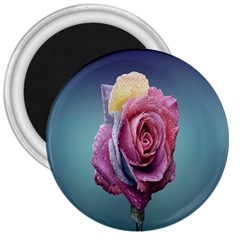 Rose Flower Love Romance Beautiful 3  Magnets by artworkshop