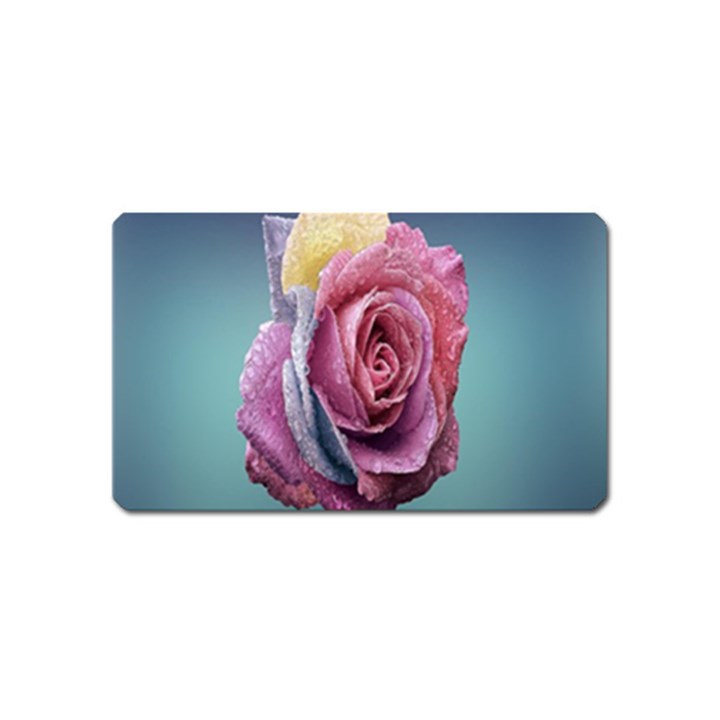 Rose Flower Love Romance Beautiful Magnet (Name Card)