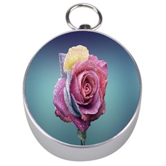 Rose Flower Love Romance Beautiful Silver Compasses by artworkshop