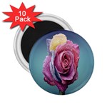 Rose Flower Love Romance Beautiful 2.25  Magnets (10 pack)  Front