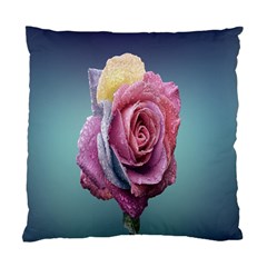 Rose Flower Love Romance Beautiful Standard Cushion Case (two Sides) by artworkshop