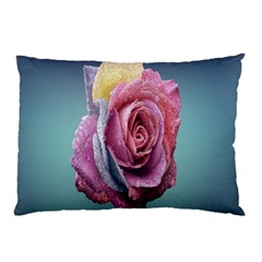 Rose Flower Love Romance Beautiful Pillow Case by artworkshop