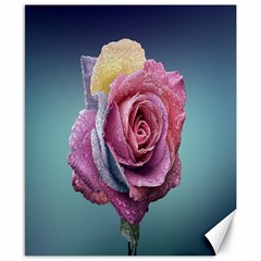 Rose Flower Love Romance Beautiful Canvas 8  X 10  by artworkshop