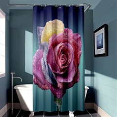 Rose Flower Love Romance Beautiful Shower Curtain 36  X 72  (stall)  by artworkshop