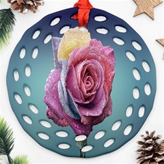 Rose Flower Love Romance Beautiful Ornament (round Filigree)