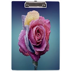 Rose Flower Love Romance Beautiful A4 Clipboard by artworkshop