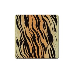 Tiger Animal Print A Completely Seamless Tile Able Background Design Pattern Square Magnet by Amaryn4rt