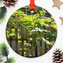 Bitter Melon Ornament (round) by artworkshop