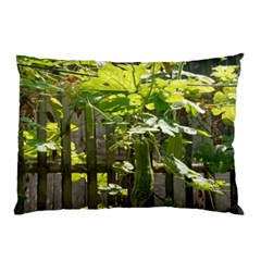 Bitter Melon Pillow Case by artworkshop