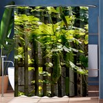 Bitter Melon Shower Curtain 60  x 72  (Medium)  60 x72  Curtain