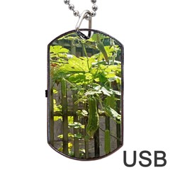 Bitter Melon Dog Tag Usb Flash (two Sides) by artworkshop