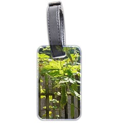 Bitter Melon Luggage Tag (two Sides) by artworkshop