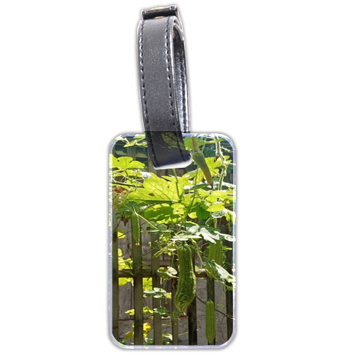 Bitter Melon Luggage Tag (two sides)