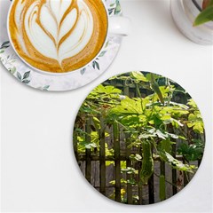 Bitter Melon Uv Print Round Tile Coaster