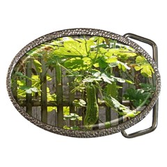 Bitter Melon Belt Buckles by artworkshop