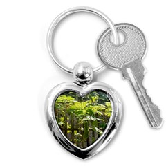 Bitter Melon Key Chain (heart) by artworkshop