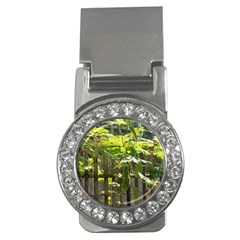 Bitter Melon Money Clips (cz)  by artworkshop