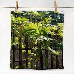 Bitter Melon Face Towel by artworkshop