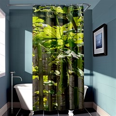 Bitter Melon Shower Curtain 36  X 72  (stall)  by artworkshop