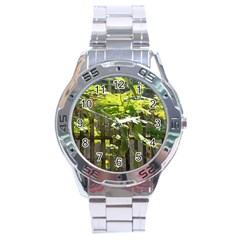 Bitter Melon Stainless Steel Analogue Watch by artworkshop